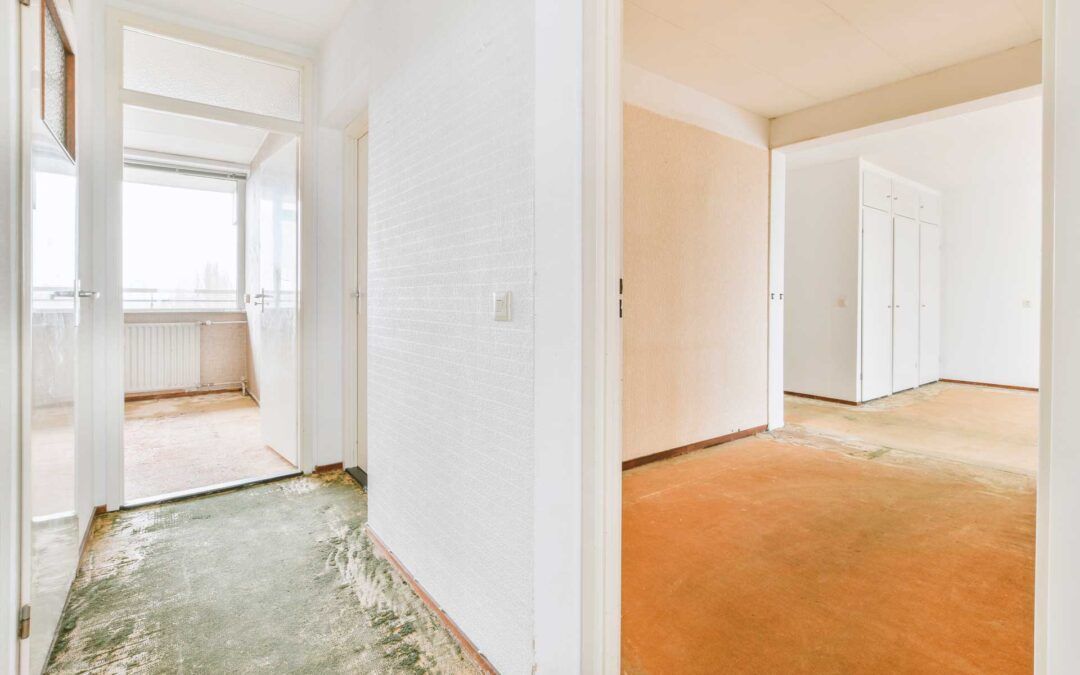 Vaciado apartamentos