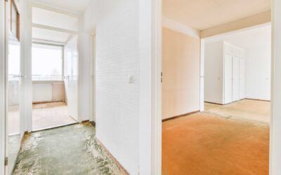 Vaciado apartamentos
